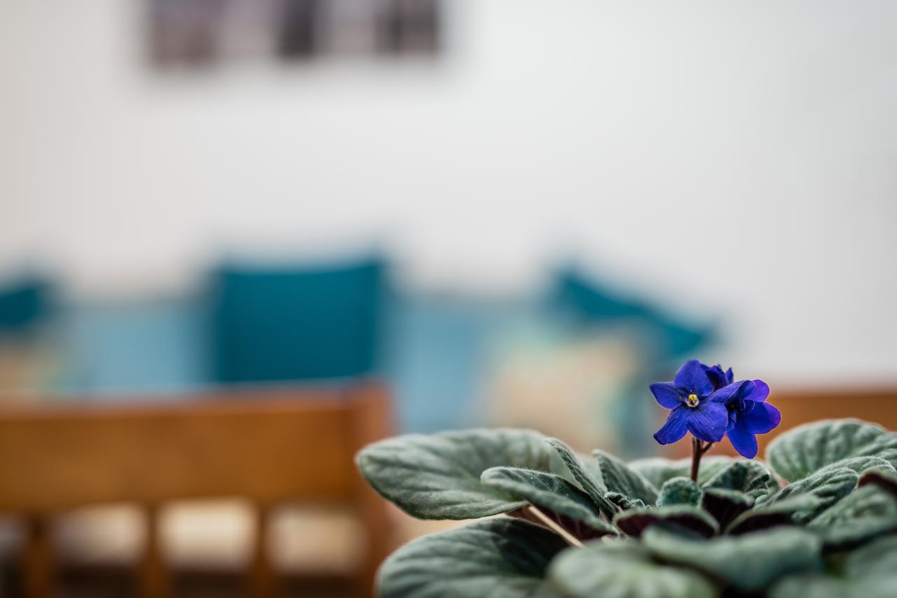 Apartamenty Bosacka Wawelofts クラクフ エクステリア 写真